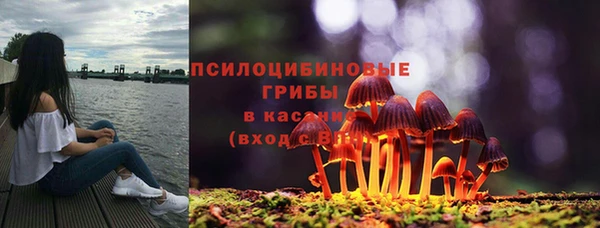 2c-b Елабуга