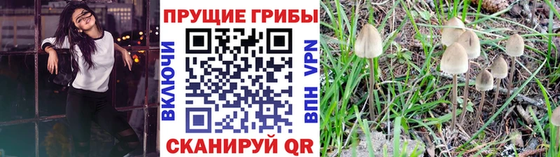 Галлюциногенные грибы прущие грибы  Заречный 