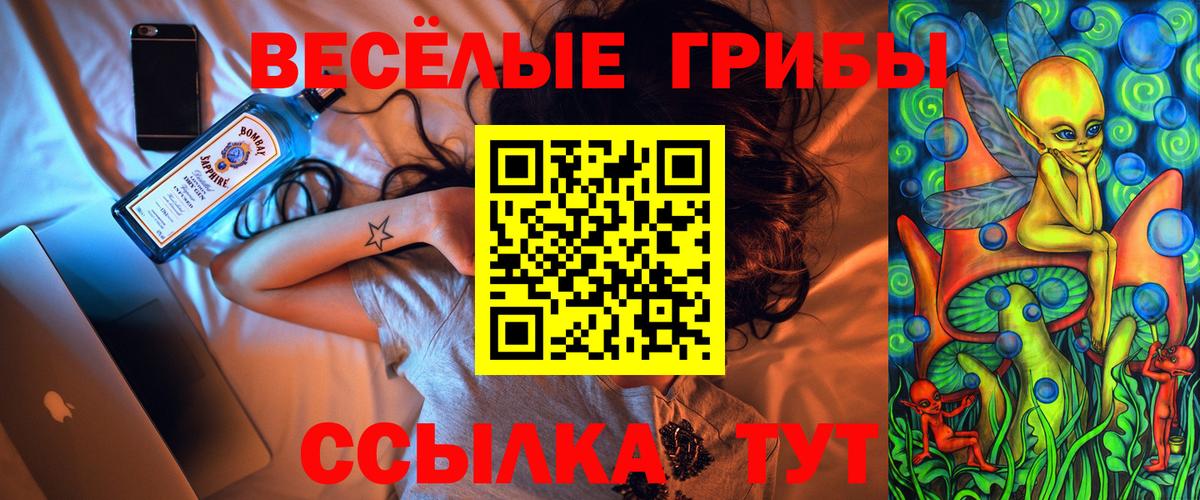 Заречный  Галлюциногенные грибы Psilocybine cubensis  Вход с VPN  Псилоцибиновые грибы мухоморы 