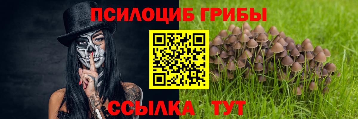 Галлюциногенные грибы Psilocybe Заречный