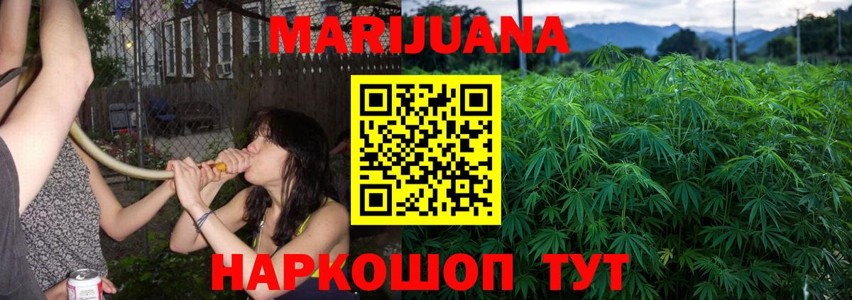 Шишки марихуана Amnesia  Бошки Шишки Bruce Banner  Заречный  Шишки марихуана семена  Вход с VPN  Канабис индика 